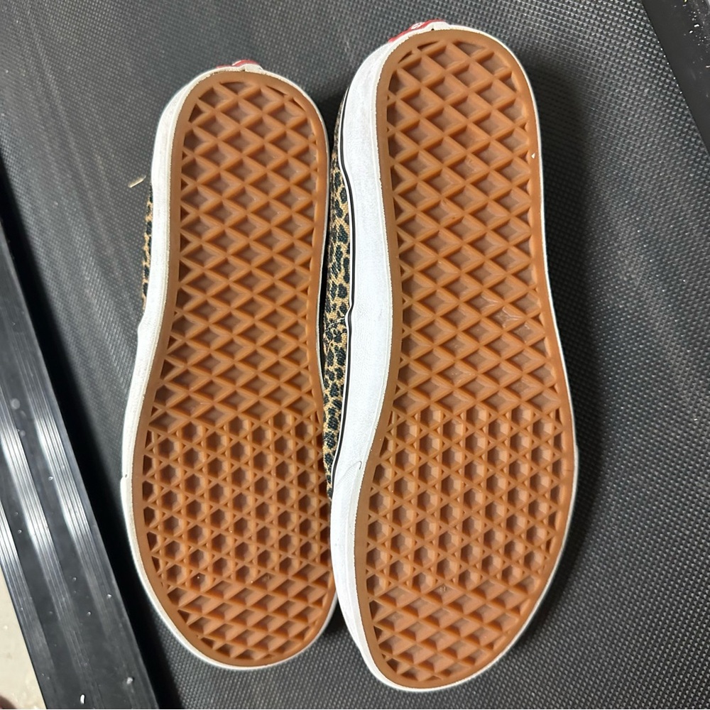 Cheetah Vans - Picture 3 of 3